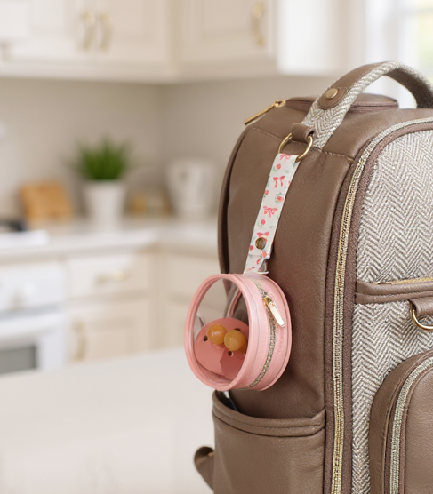 Itzy Ritzy Itzy Paci Case™ - Ribbons & Roses