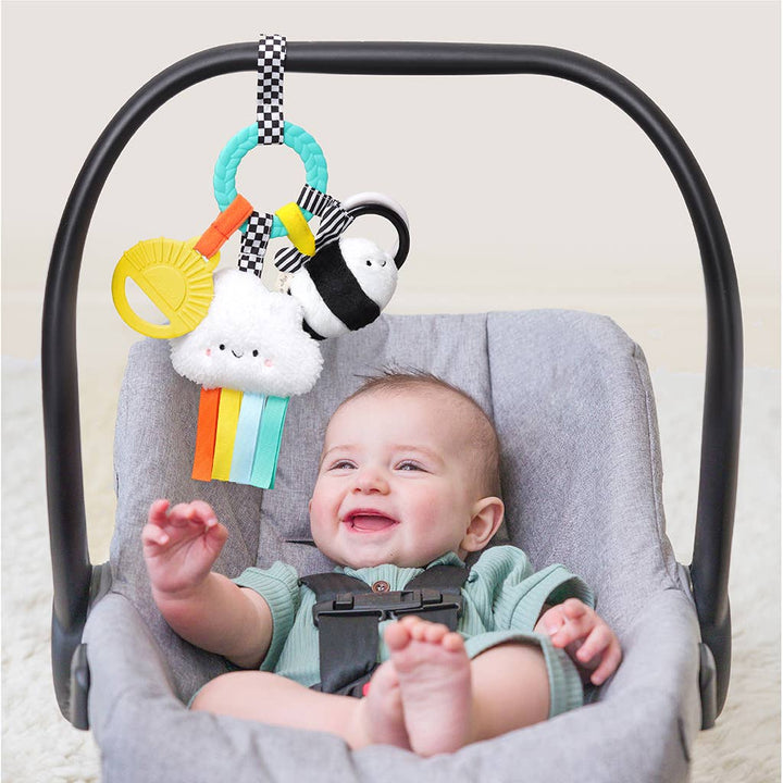 Itzy Ritzy - Bitzy Busy Ring™ Teething Activity Toy: Farm