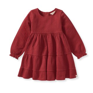 Burt's Bees Baby Dotted Rib Organic Dress - Brick Red