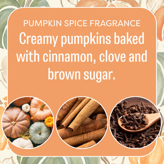 Spiced Pumpkin scented sachet