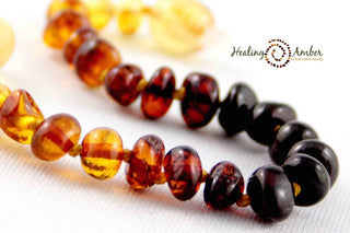 Healing Amber Rainbow Baltic Amber Necklace - 13 Inch