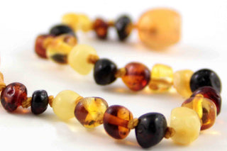 Healing Amber Multicolor Baltic Amber Necklace - 11 Inch