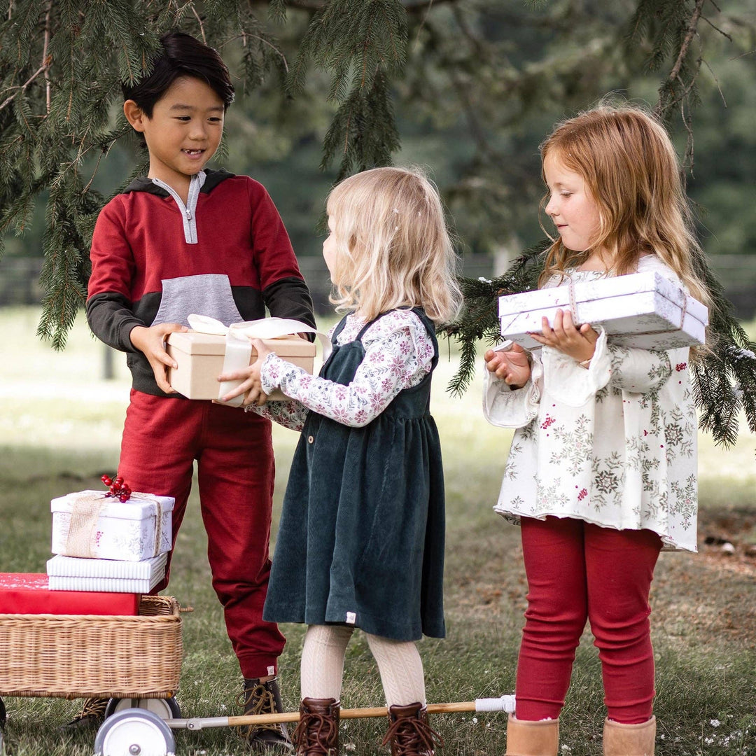 Burt's Bees Baby - Poinsettia Fair Isle Organic Girl Tee & Dress Set