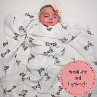 LollyBanks Baby Zebra Cotton Muslin Swaddle Blanket