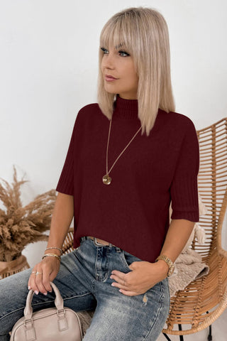 Luke & Estelle Quiet Morning Short Sleeve Mock Neck Sweater