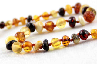 Healing Amber Multicolor Baltic Amber Necklace - 11 Inch