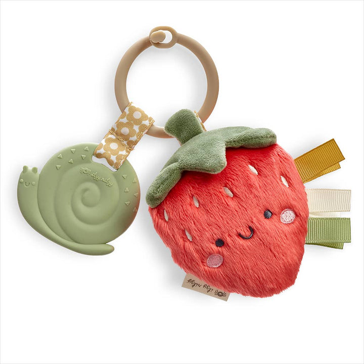 Itzy Ritzy - Itzy Pal™ Plush + Teether: Koala