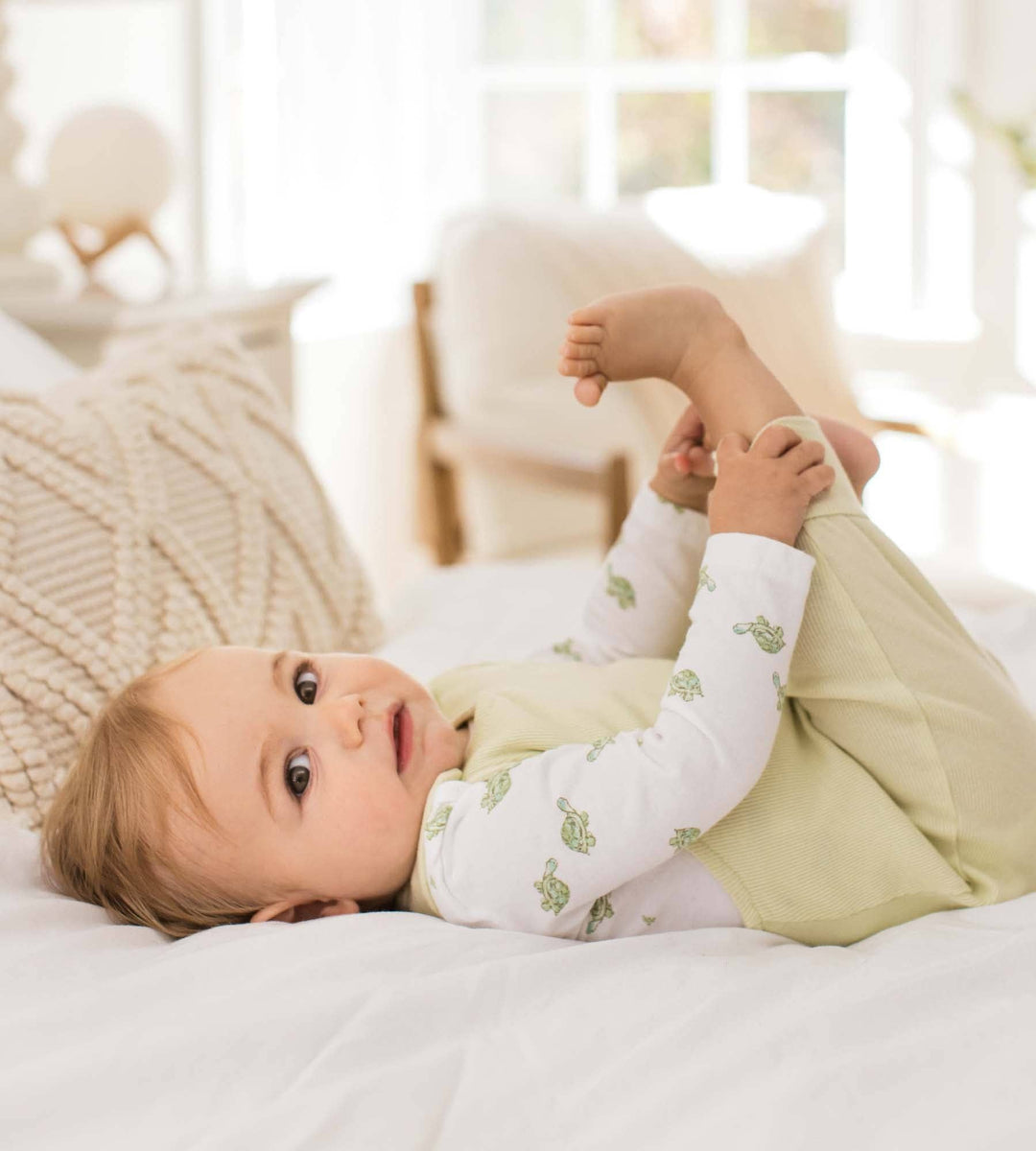 Burt's Bees Baby - Tortoise Jumpsuit & Bodysuit Set