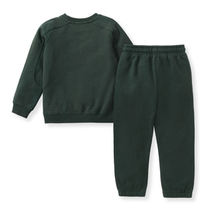Burt's Bees Baby Acid Wash Sweatshirt & Pants Set - Zucchini