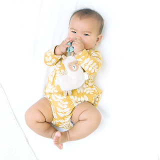 Itzy Ritzy Sweetie Pal Llama Plush & Pacifier