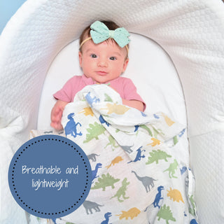 LollyBanks Rawr-Some Dinosaur Muslin Swaddle Blanket