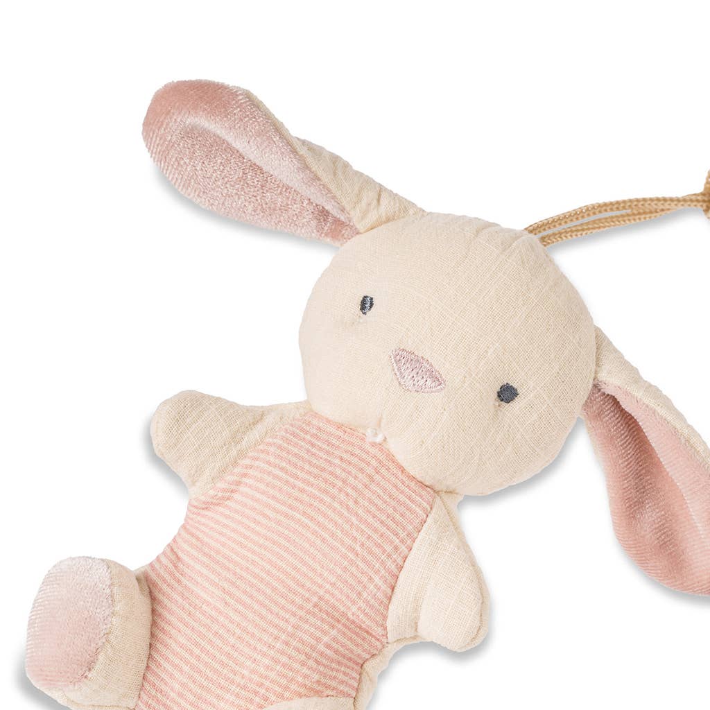 Itzy Ritzy Bitzy Pal Natural Rubber Pacifier & Plush: Bunny
