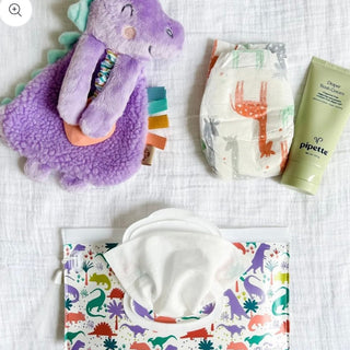 Itzy Ritzy Take & Travel Reusable Wipes Case - Darling Dinos